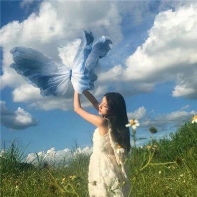 星蝶公主第一季