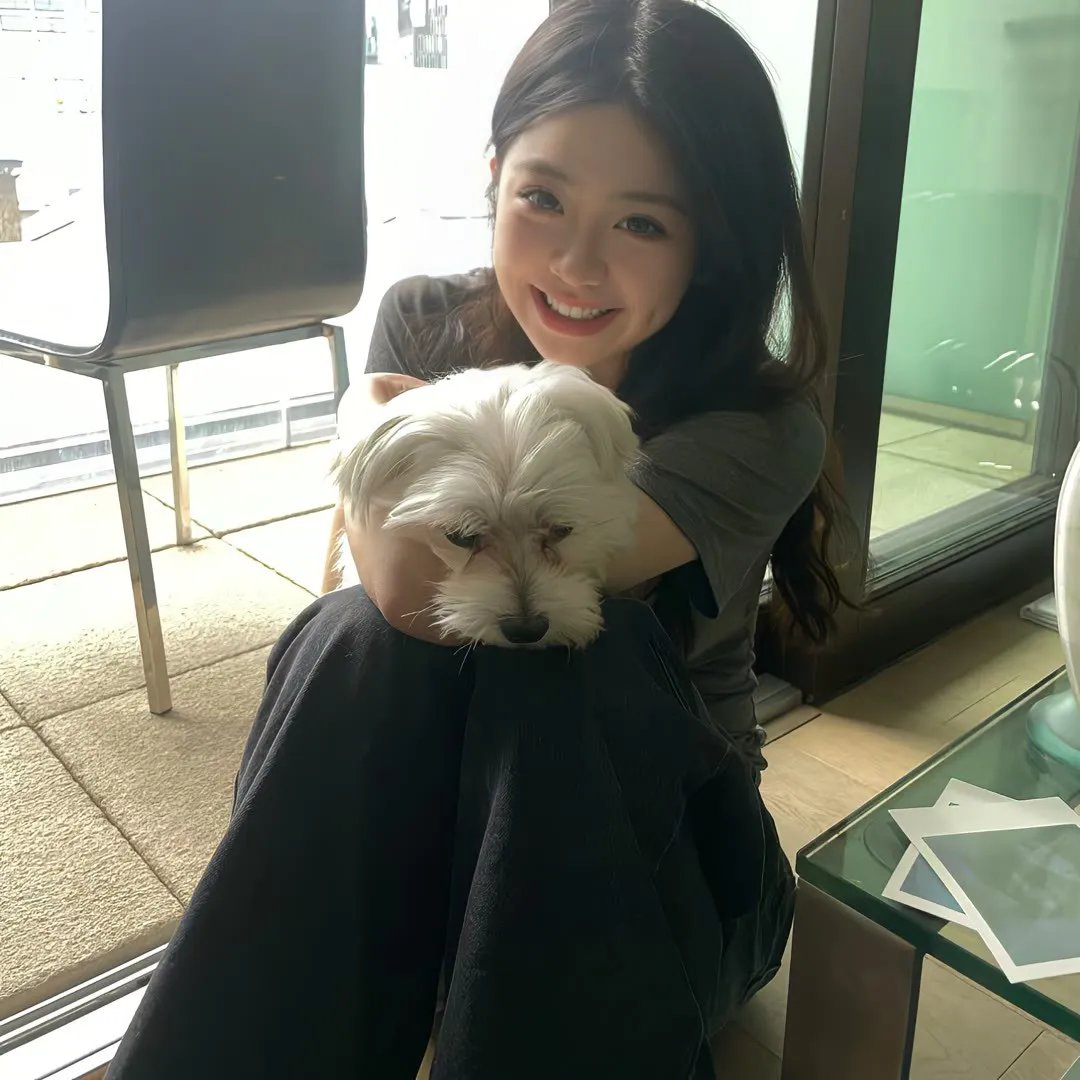 报告老板夫人她又要打人了